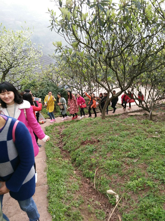 “三八”節(jié)登方山活動
